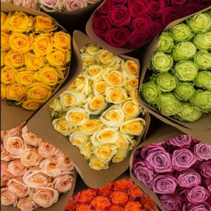 American Fresh Roses Rose Farmers | Farm Fresh Roses | Buy Quality Roses Direct